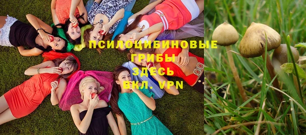 герыч Инта