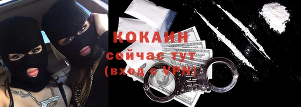 дмт Инсар