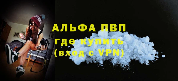 дмт Инсар