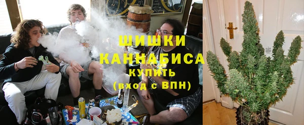 дмт Инсар