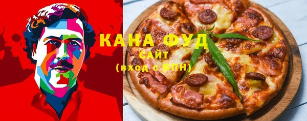 дмт Инсар