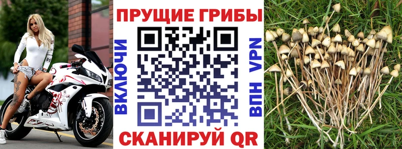 Псилоцибиновые грибы мухоморы Орлов