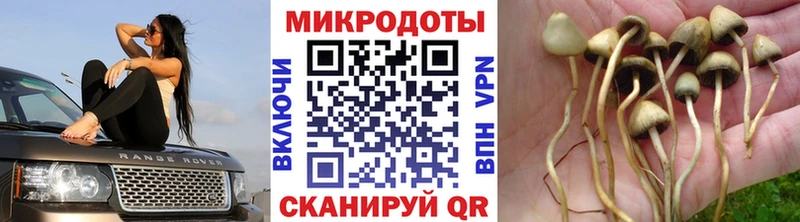 Псилоцибиновые грибы мухоморы Купить где Орлов